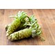 Wasabi Oil