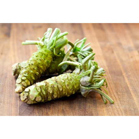 Wasabi Oil