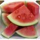 Watermelon Oil